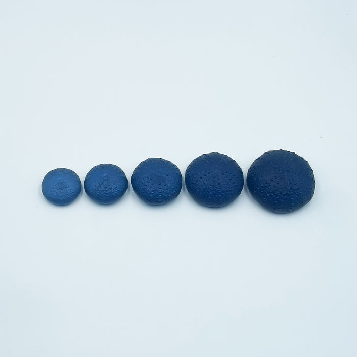 Sea Urchins/Kina - Steel Blue