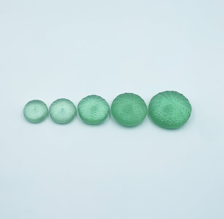 Sea Urchins/Kina - Pale Emerald