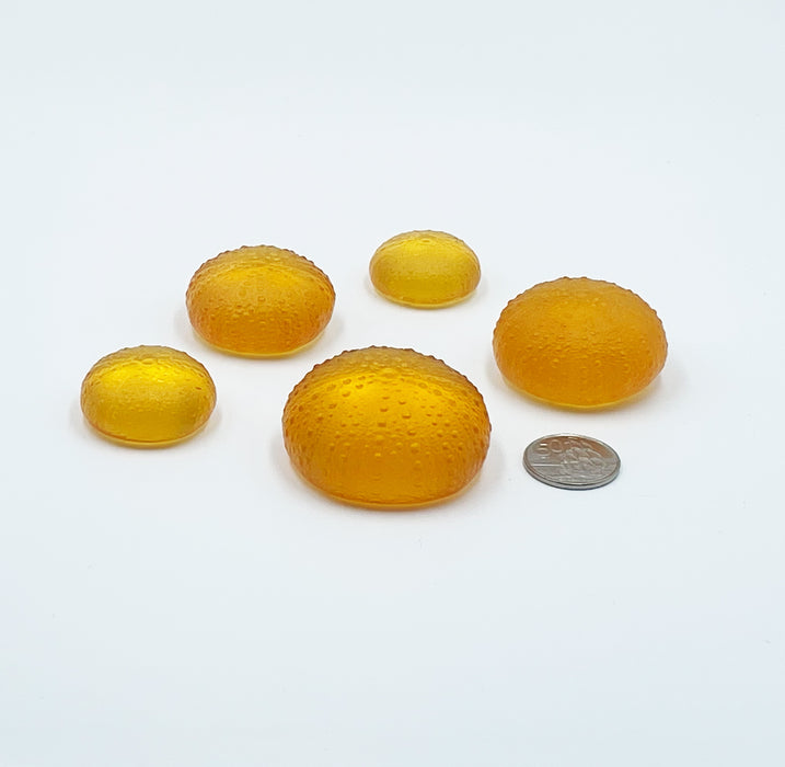 Sea Urchins/Kina - Yellow