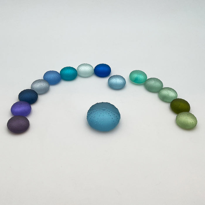 Sea Urchins/Kina - Pale Aquamarine