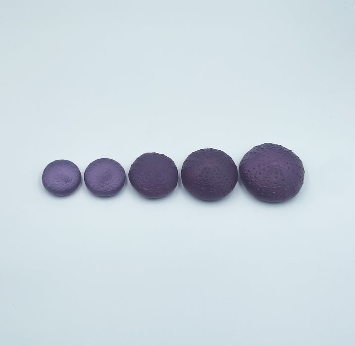 Sea Urchins/Kina - Purple