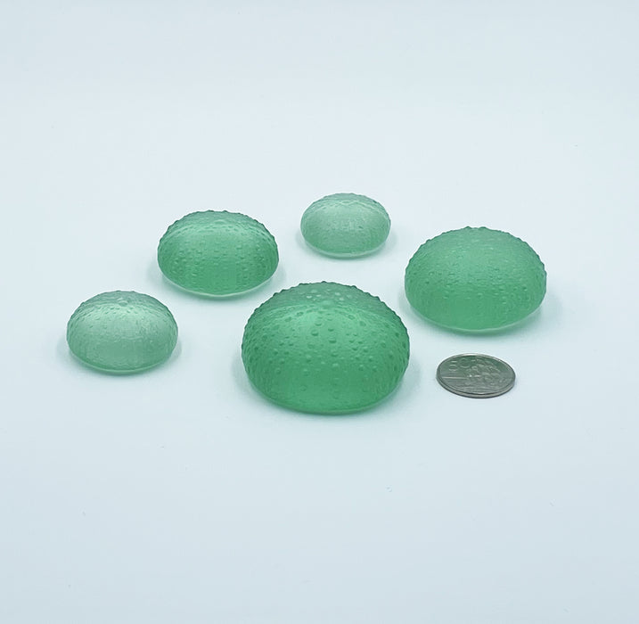Sea Urchins - Pale Emerald